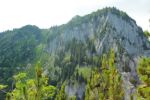 2014-07-05_Laengental-N-Hochweg (601). JPG